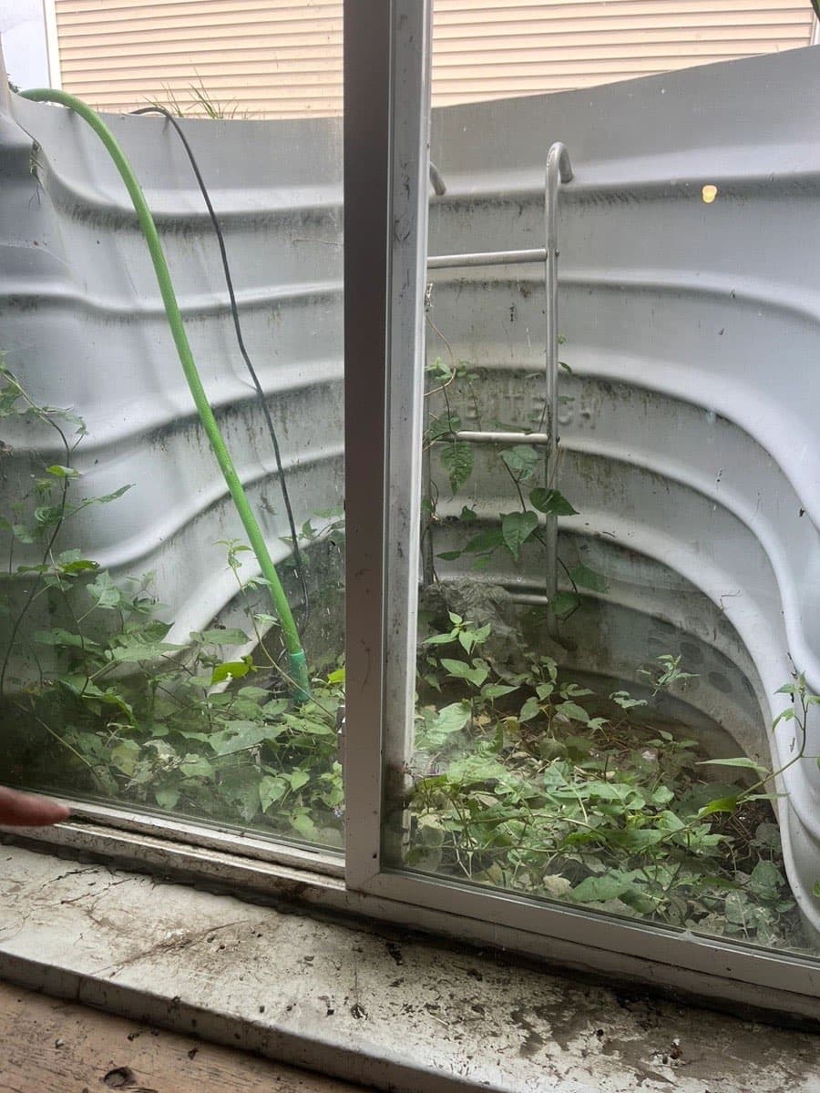Basement Egress Window Upgrade