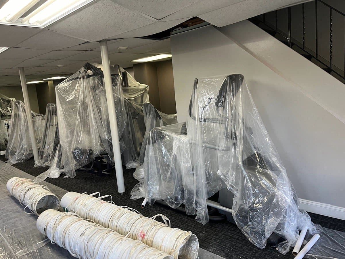 Crawl Space Mold Prevention