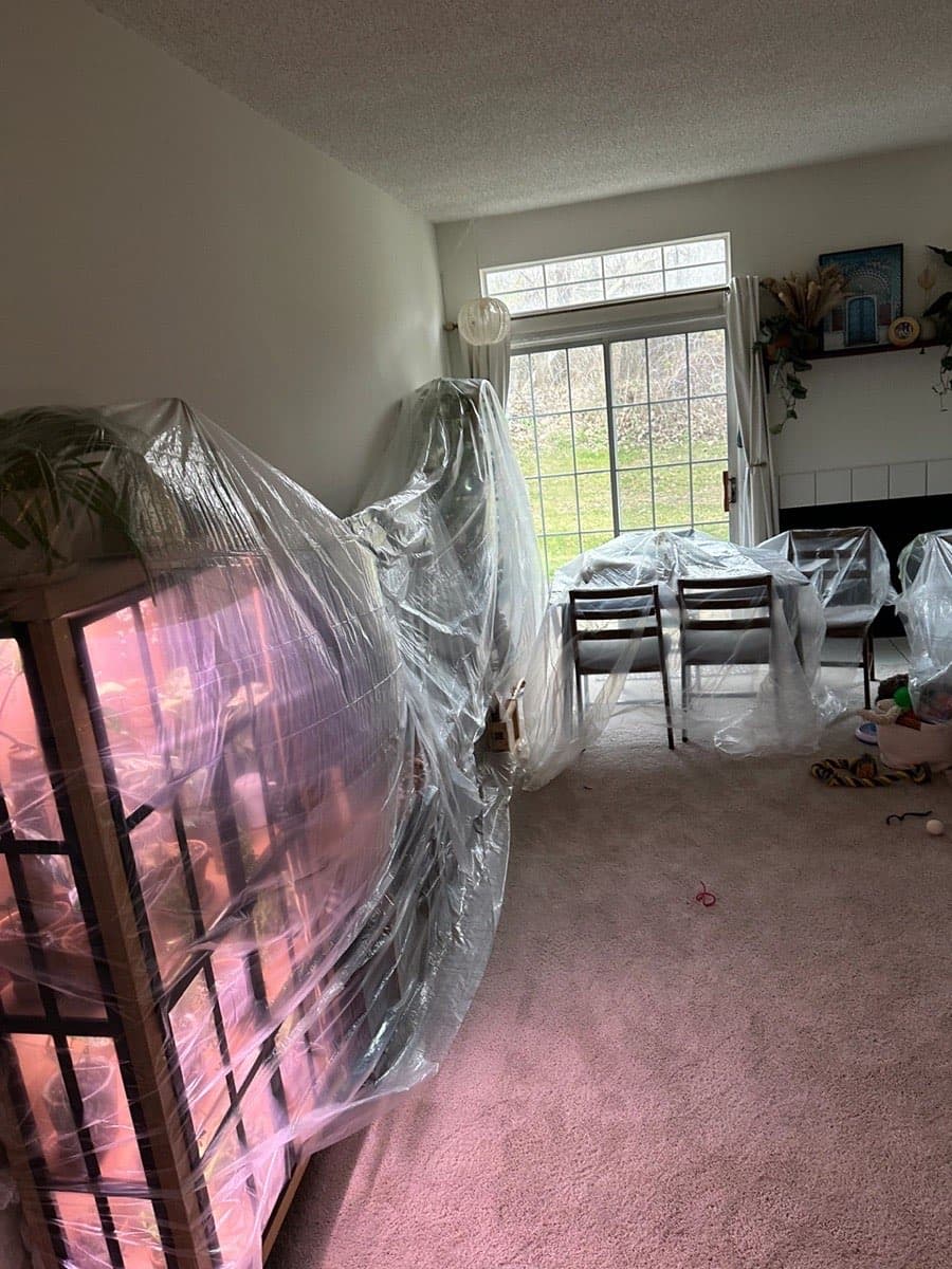 Mold Remediation