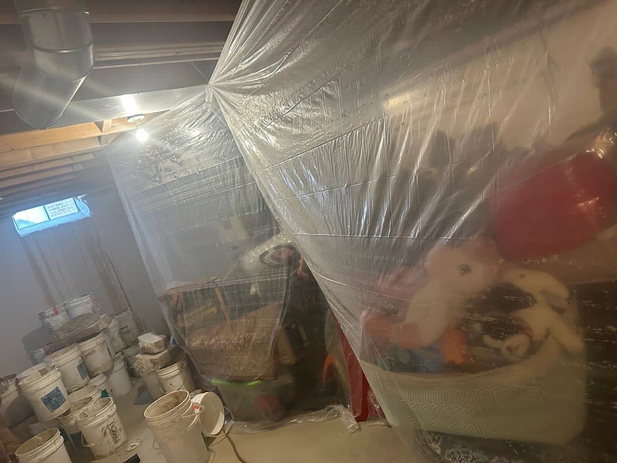 Mold Prevention & Vapor Barrier